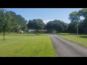 1969 Harley Davidson Aermacchi Sprint 350 vid2