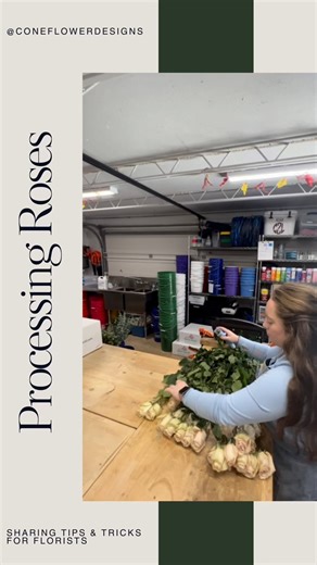 50K views · 11 reactions |  Processing roses shouldn’t take long....