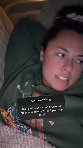 Evaluating Stellar Stallion Prospects in Horse Breeding