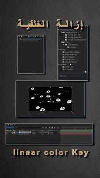 after effect tutorial