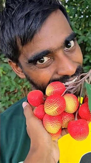 🍒🤯🍓🍦ASMR AMERICA'S ORIGINAL DUBBLE BUBBLE GUM (3 FRUIT FLAVORS) AND3