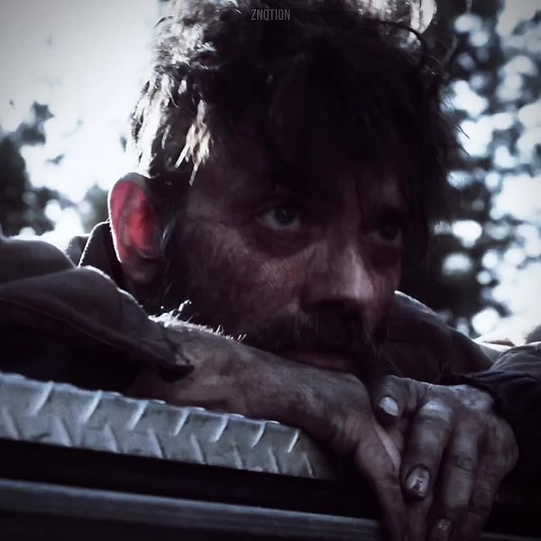 Exploring Doc Z Nation and Its Impact