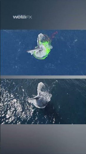 Soaked in Digital Water | Avatar: The Way of Water VFX | Wētā FX