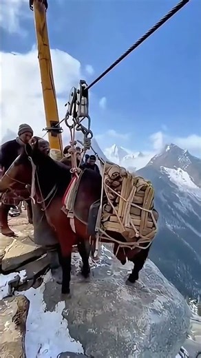 Method of transporting goods and animals between the mountains by local residents