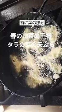 タラの芽の天ぷら #タラの芽 #春の味覚 #山菜料理 #本編切り抜き #ショート動画 #料理 #天ぷら