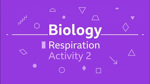 GCSE combined science questions - respiration biology revision - BBC Bitesize