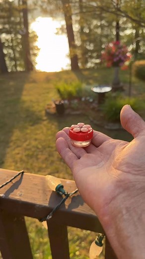 Hand feeding a female ruby throated hummingbird | Steve Haugesag Photography