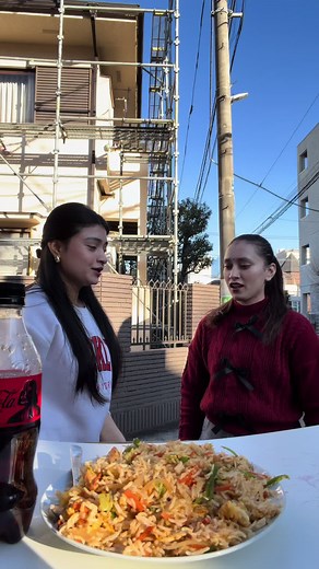 Delicious Fried Rice Challenge in Tokyo