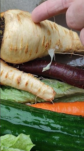 Gesundes buntes Gemüse zum Mittagessen kochen