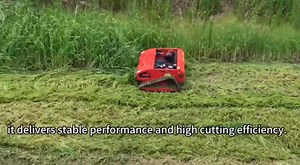 Remote Control Lawn Mower, 9HP Gas Powered, Tracked All-Terrain Mower for Hillside, Lawn & Professional Property Maintenance with Snow Plow Option