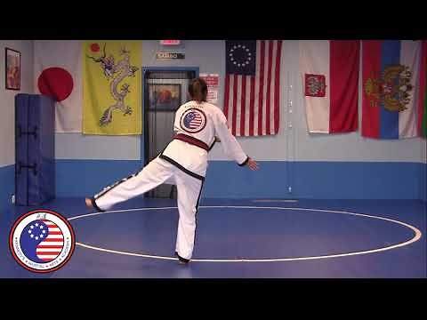 What is Tang Soo Do? || KMAA Vlog #3