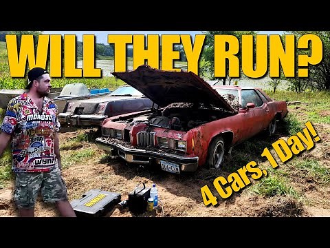 Farm Full of ABANDONED Classic Cars - WILL THEY RUN?