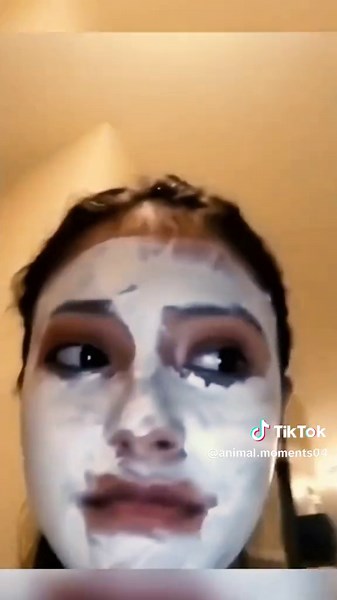 Funny animals of 2024😂🤣😂 #pets #compilation #viral #animals #funny