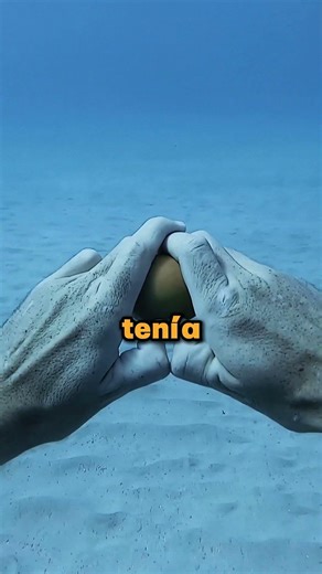 Huevo roto en las profundidades del océano