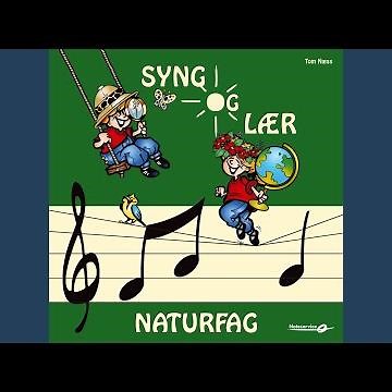 Vårvise (Instrumental)