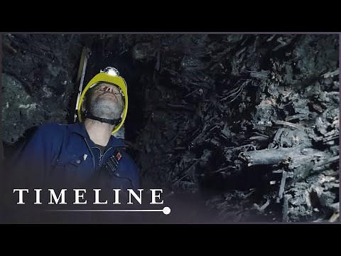 What Can This 2,400-Year-Old Tomb Tell Us About The Origins Of The Celts?