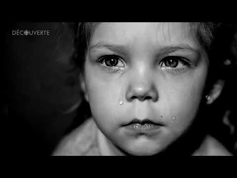 Discovery | 20 years: the impact of abuse on the brain