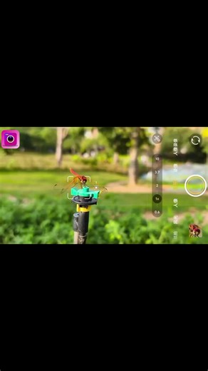 Camera Zoom Ultra HD: Capture Stunning Photos