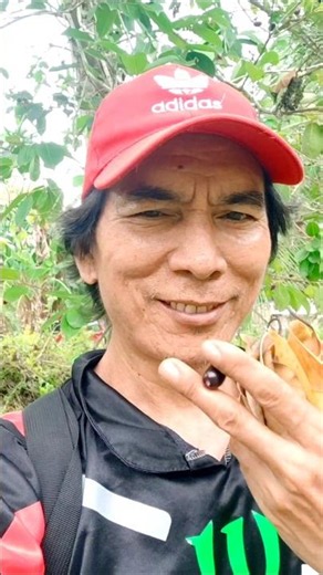 fruits of this java plum is very sweet