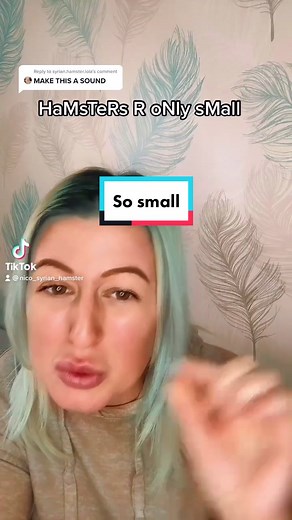 Hamster Care Tips for Syrian Hamsters