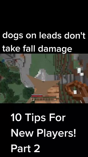 RedstonePanda on TikTok