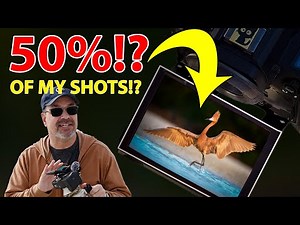 Why I Shoot 40-50% of My Wildlife Photos with the LCD (And How)