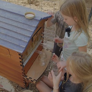 853 reactions · 90 shares | "I want to turn into a bee so I can eat that honey" | Flow Hive | Facebook