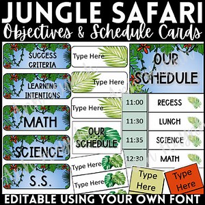 Editable Jungle Safari Schedule and Objectives Cards