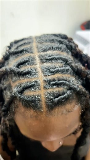 Stunning Invisible Twist Braids Tutorial