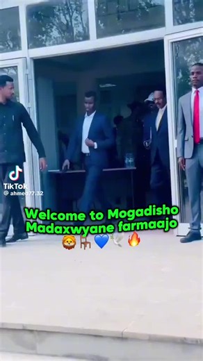 Barlin Omar (@barlinomar)’s videos with original sound - Barlin Omar