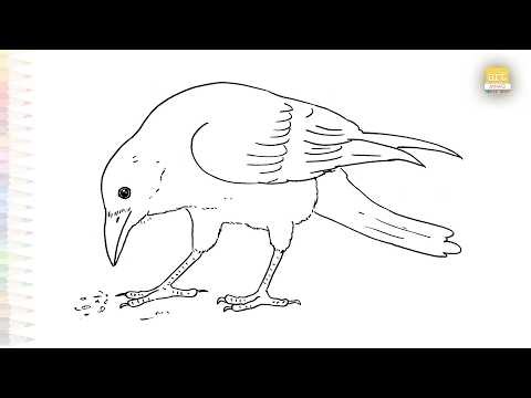 Crow eating drawing easy | Birds outline sketches | How to draw A crow step by step | #artjanag