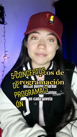 Conceptos de Programación: Funciones, Variables, Estructuras Condicionales, Arreglos y Bucles