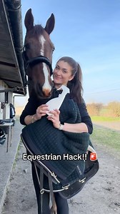 As the leaves start to fall, it’s blanket season for our horses 🍁🐎 Here’s a quick trick to get old favorites ready for autumn: spray the metal clasps with mane spray – and they’ll move smoothly again ✨ #horze #equestrian #hack #wednesdaywisdom #goodtoknow #autumnvibes #horselover #rugs | Horze