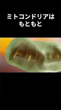 【驚き】微生物のあまり知られていない雑学10選 #雑学 #トリビア