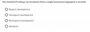 What is the term for embryo sac formation that arises from a si... | Filo
