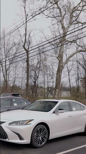 Which Lexus Sedan Fits You Best? | IS vs ES vs LS