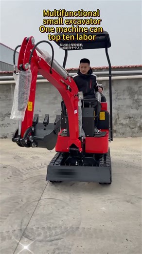 Small excavator that can dig ditches and push soil #digger #excavator