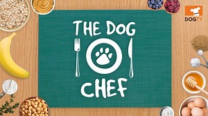 4K views · 57 reactions | Today The Dog Chef makes cupcakes! TIP: omit the icing for dieting pups  Go to dogtv.com/dogchef for more recipes • Bone Appetite! | DOGTV | Facebook