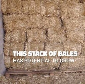 2.1K views · 41 reactions | The straw is simply a consistent and...