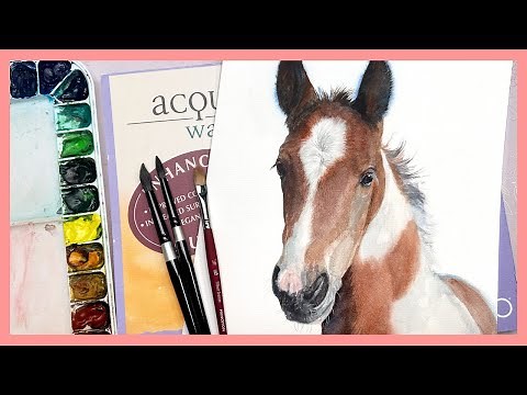 How to Paint a REALISTIC HORSE in Watercolor!