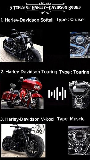 Harley davidson Softail vs Touring vs V-Rod Sound — Which One Is Your Favorite? #harleydavidson