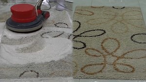 Professional Carpet Cleaning Techniques You Need to See