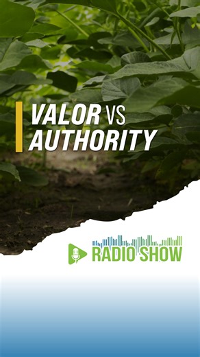 43K views · 284 reactions | Valor vs Authority | Ag PhD | Facebook
