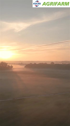 🚜 Zima se blíží – je vaše zemědělské vybavení připraveno? ❄️ Nenechte se zaskočit chladným obdobím! Trocha přípravy nyní ušetří VELKÉ bolesti hlavy (a náklady na opravy) později. ✅ Stručný zimní kontrolní seznam: - Čerstvý motorový a hydraulický olej - Doplnění zimní nafty - Kontrola hladiny chladicí kapaliny - Údržba baterie - Správné čištění a skladování Proč je to důležité: Správná údržba = spolehlivé stroje, když přijde jaro. Žádné prostoje, žádný stres, jen plynulý provoz! Oleje AGRIFARM c