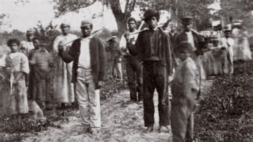 Uncover the incredible journey of Frederick Douglass, a man born into slavery who rose to become one of the most influential voices for democracy in American history. Join us as Oscar®-nominated filmmaker Stanley Nelson explores the role Douglass played in securing freedom for African Americans. Tune in tonight at 9 pm on WTJX-TV, Channel 12, for "Becoming Frederick Douglass." | WTJX Virgin Islands Public Broadcasting System
