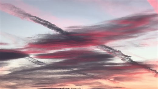 Funny flying things - Zoom in and Slow it down 😬