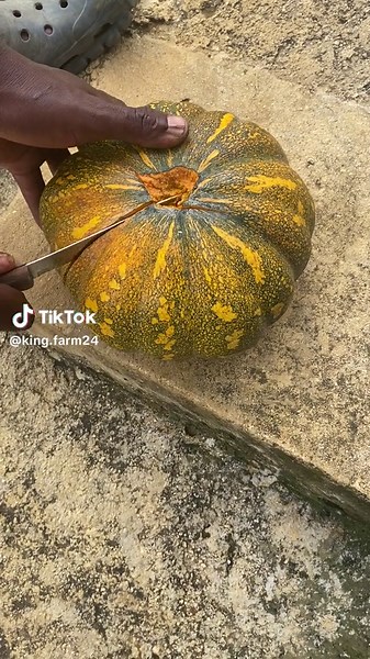 God bless me and bless my fram👨🏿‍🌾#as a proud farmer