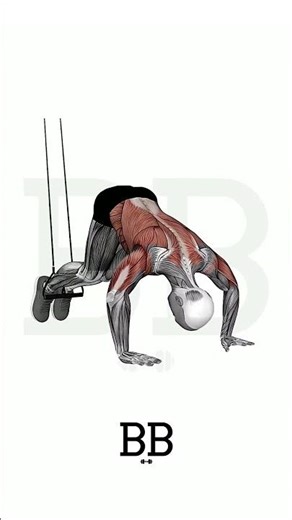 Suspension Trainer Pike (CORE): The "No-Fluff" Path to Elite Ab Strength! 🛡️🔥