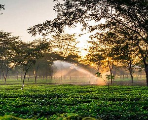 Visiting Assam? Here Are The Top 5 Destinations You Must Visit | Herzindagi