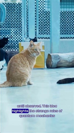 Schrödinger’s Cat Explained: The Quantum Paradox of the Box and the Nature of Reality
